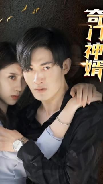 奇门神婿全集