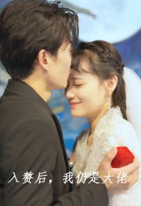 入赘后，我仍是大佬全集