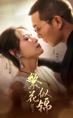 繁花似锦全集