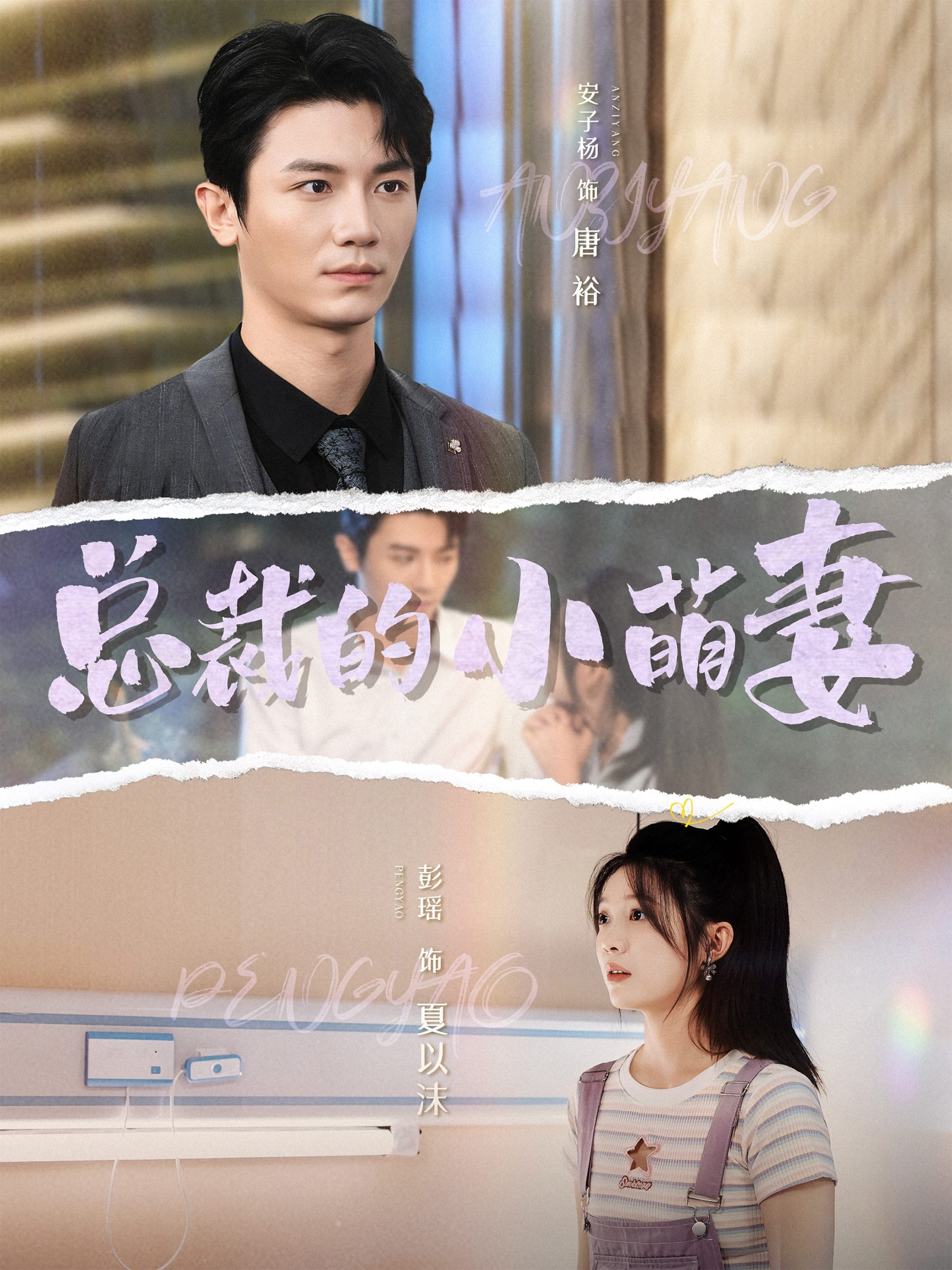 总裁的小萌妻全集
