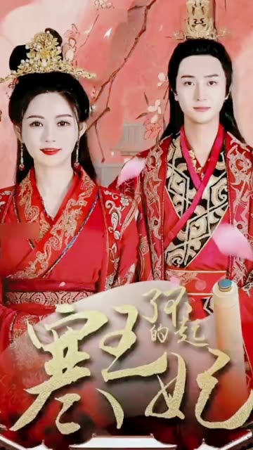 了不起的寒王妃全集