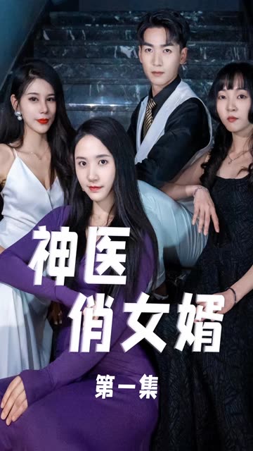 神医俏女婿全集