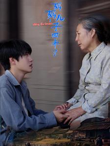 妈妈儿子回来了全集