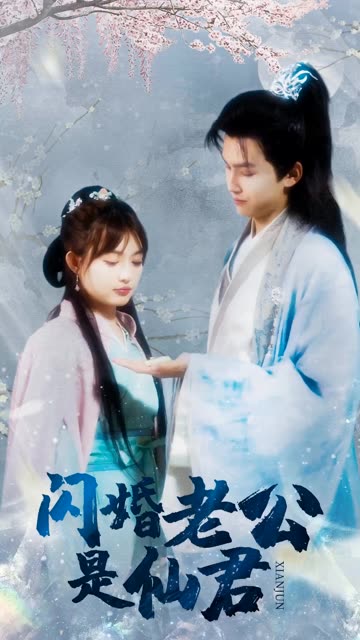 闪婚老公是仙君全集