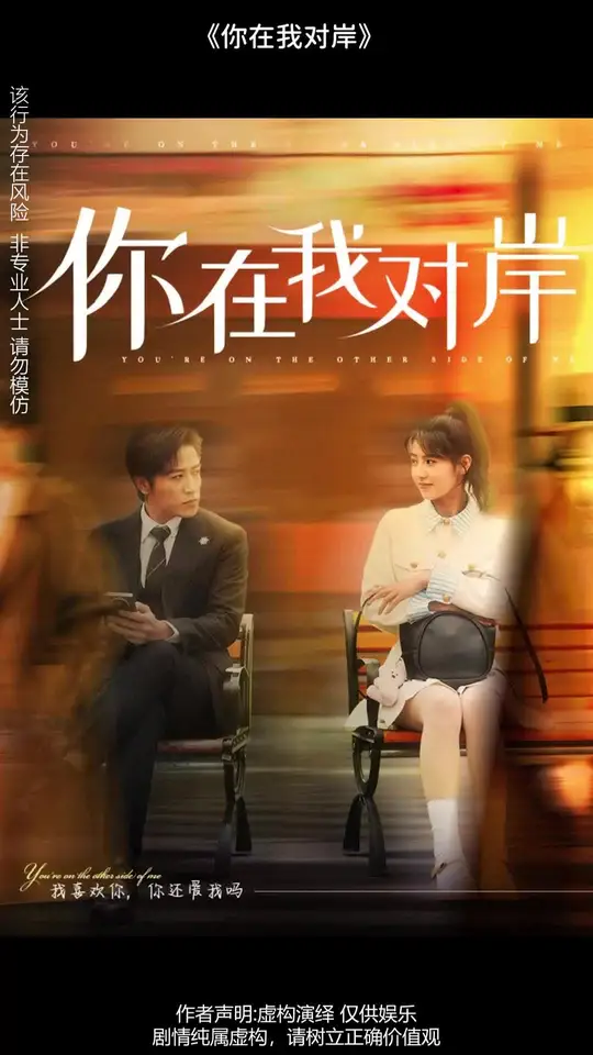 你在我对岸全集
