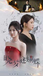 晓梦迷蝴蝶全集