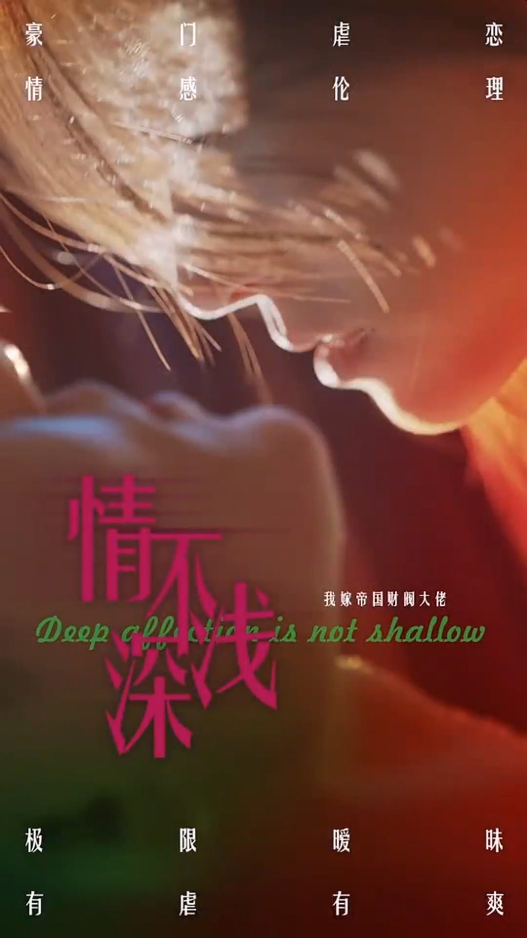 情深不浅全集