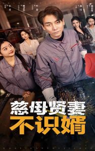 慈母贤妻不识婿全集