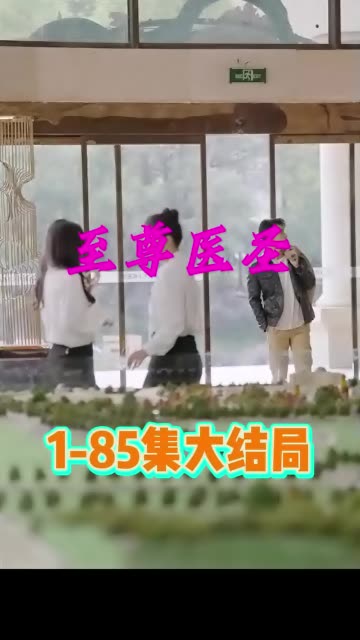 至尊医圣全集