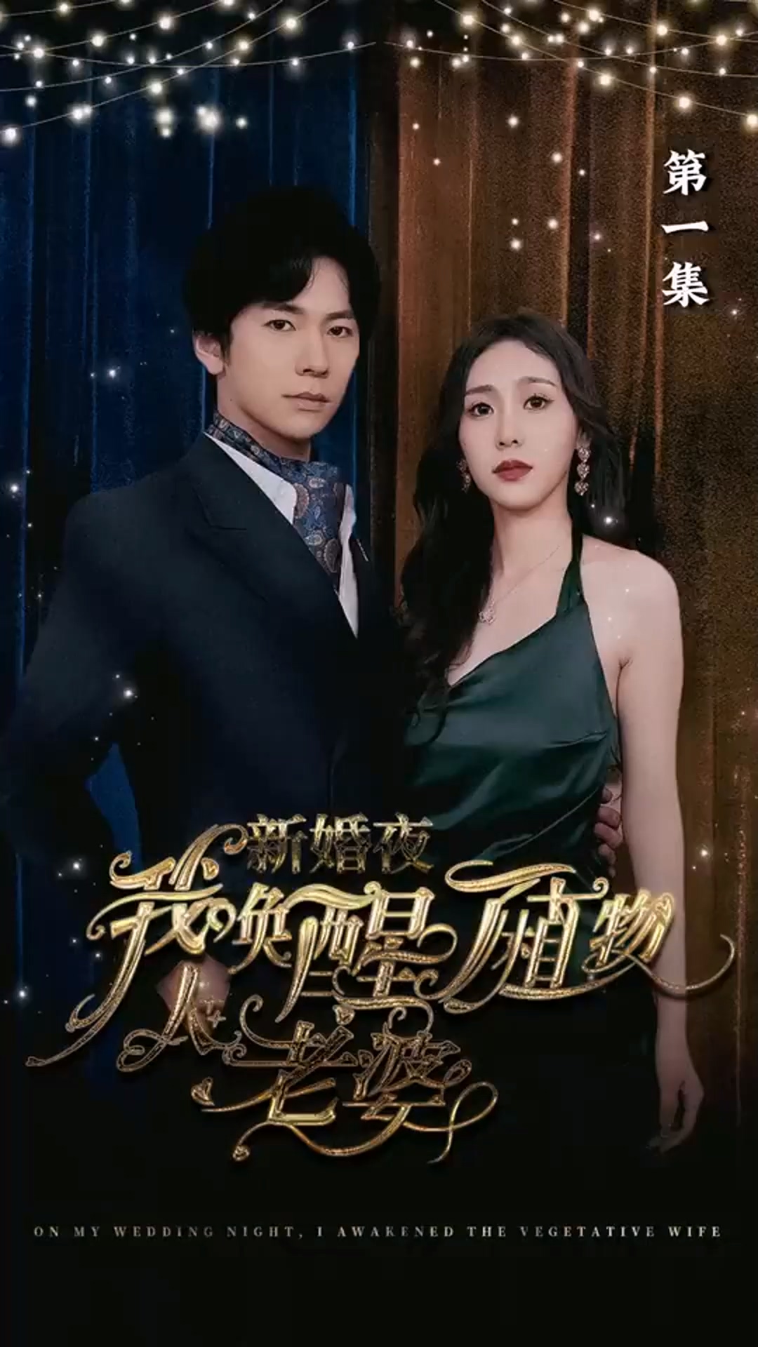 新婚夜，我唤醒了植物人老婆全集
