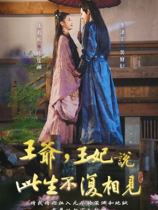 王爷，王妃说此生不复相见全集