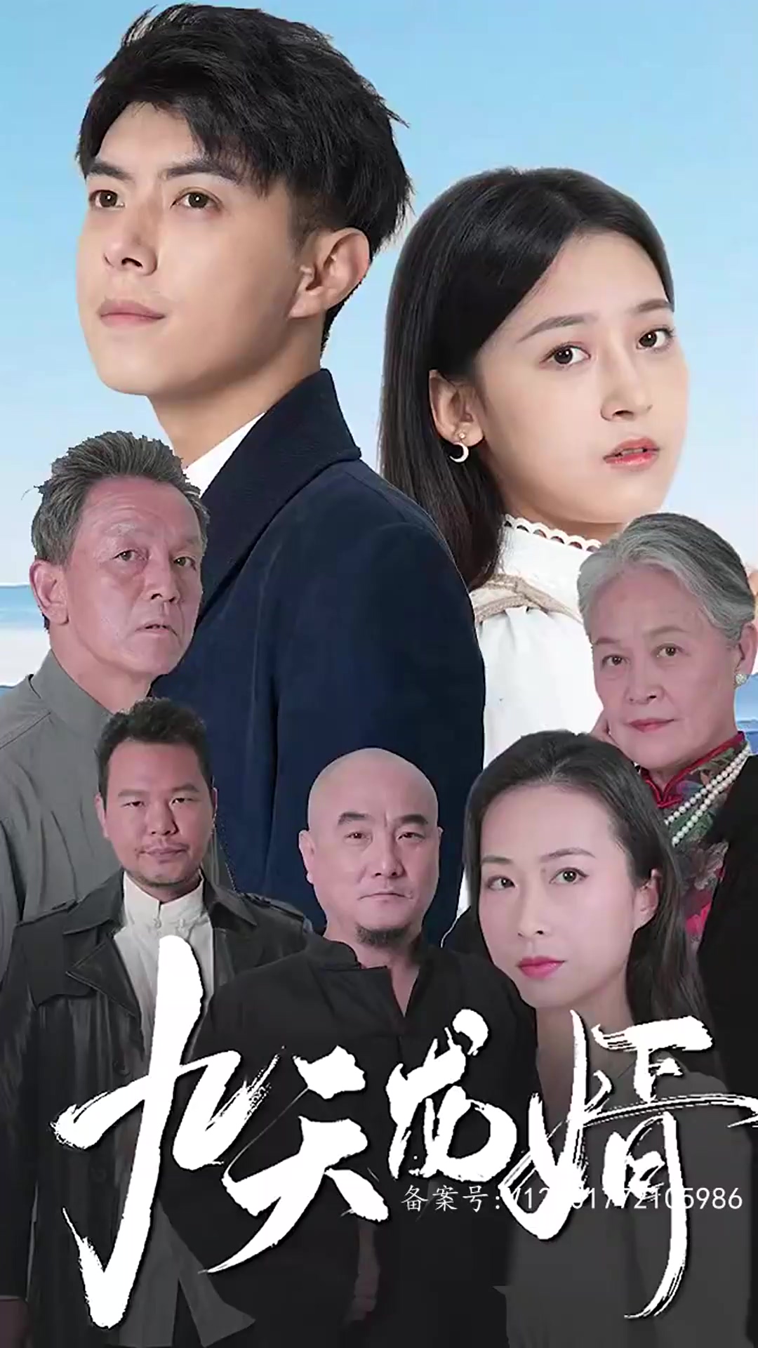 九天龙婿全集