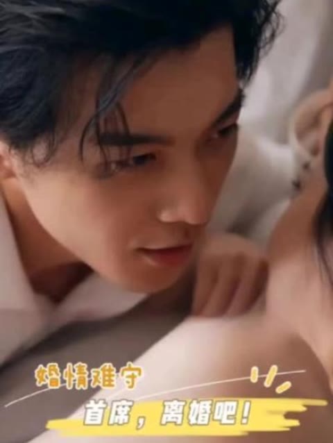 婚情难守：首席，离婚吧全集