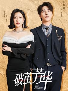 破茧芳华全集