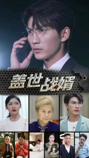 盖世战婿全集
