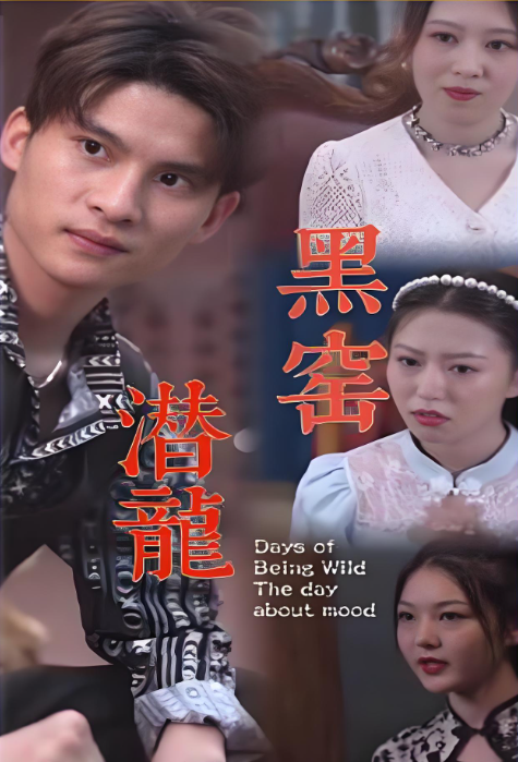 黑窑潜龙全集