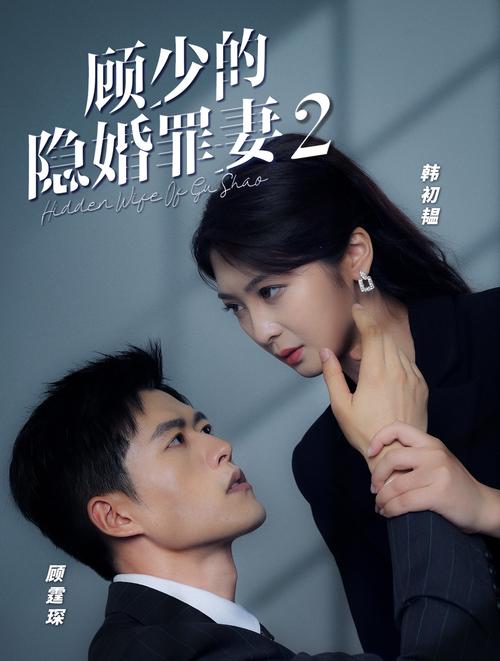顾少的隐婚罪妻2全集