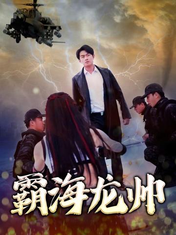 霸海龙帅全集