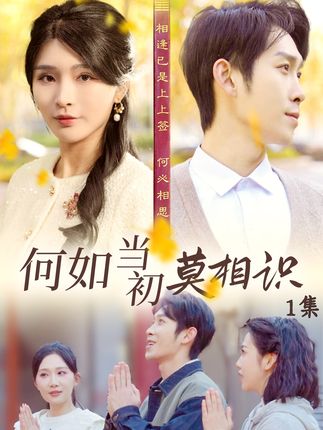 何如当初莫相识全集