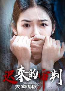 天网恢恢之迟来的审判全集