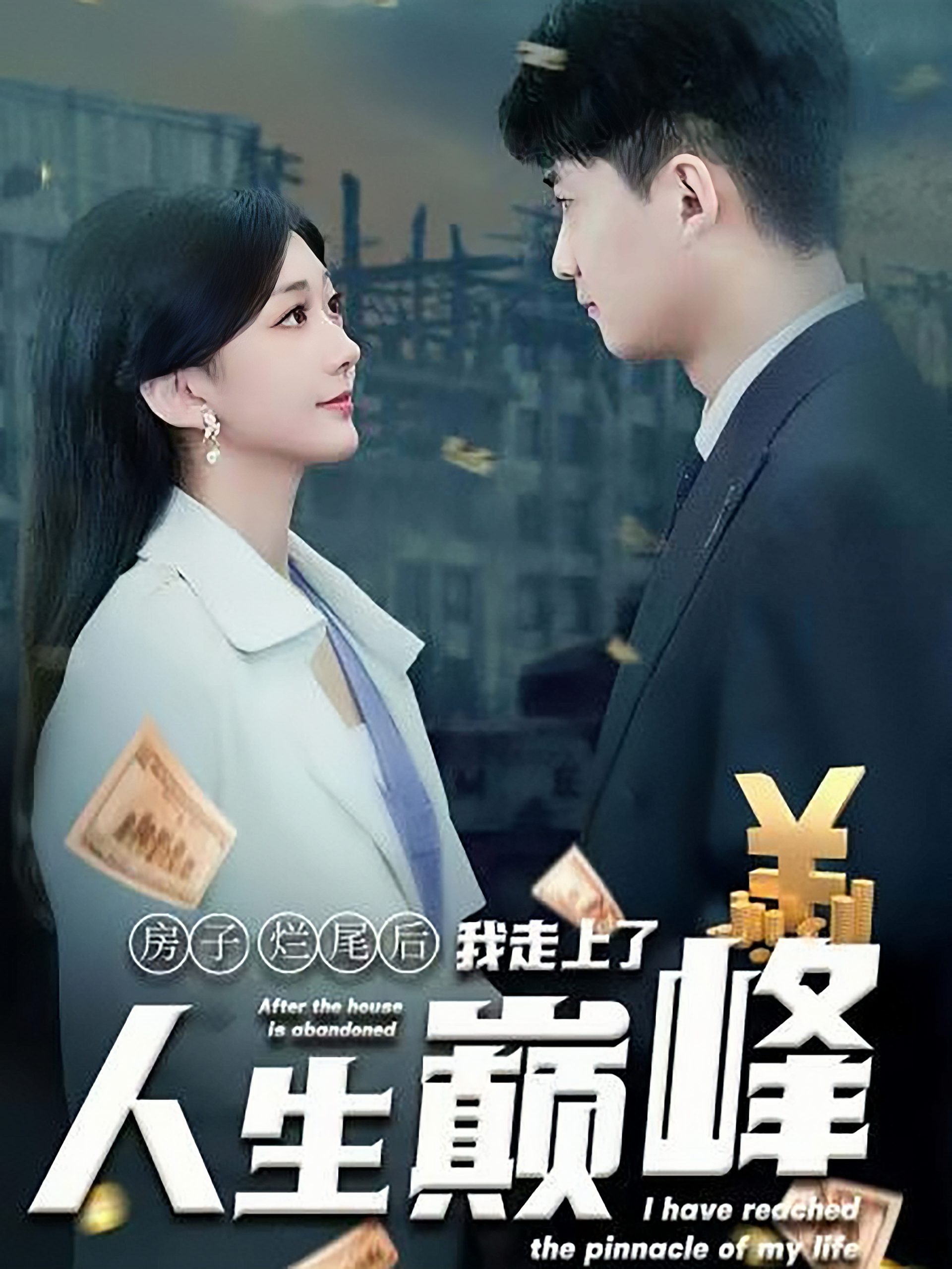 房子烂尾后我走上了人生巅峰全集