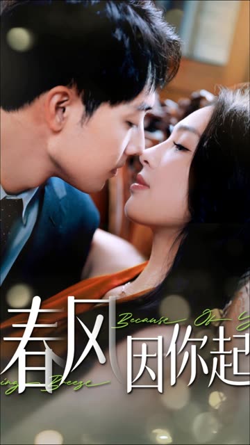 春风因你起全集