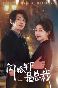 闪婚年下是总裁全集