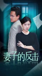妻子的反击27集全集