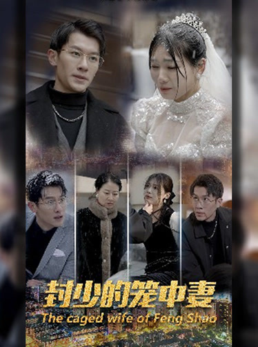 封少的笼中妻全集