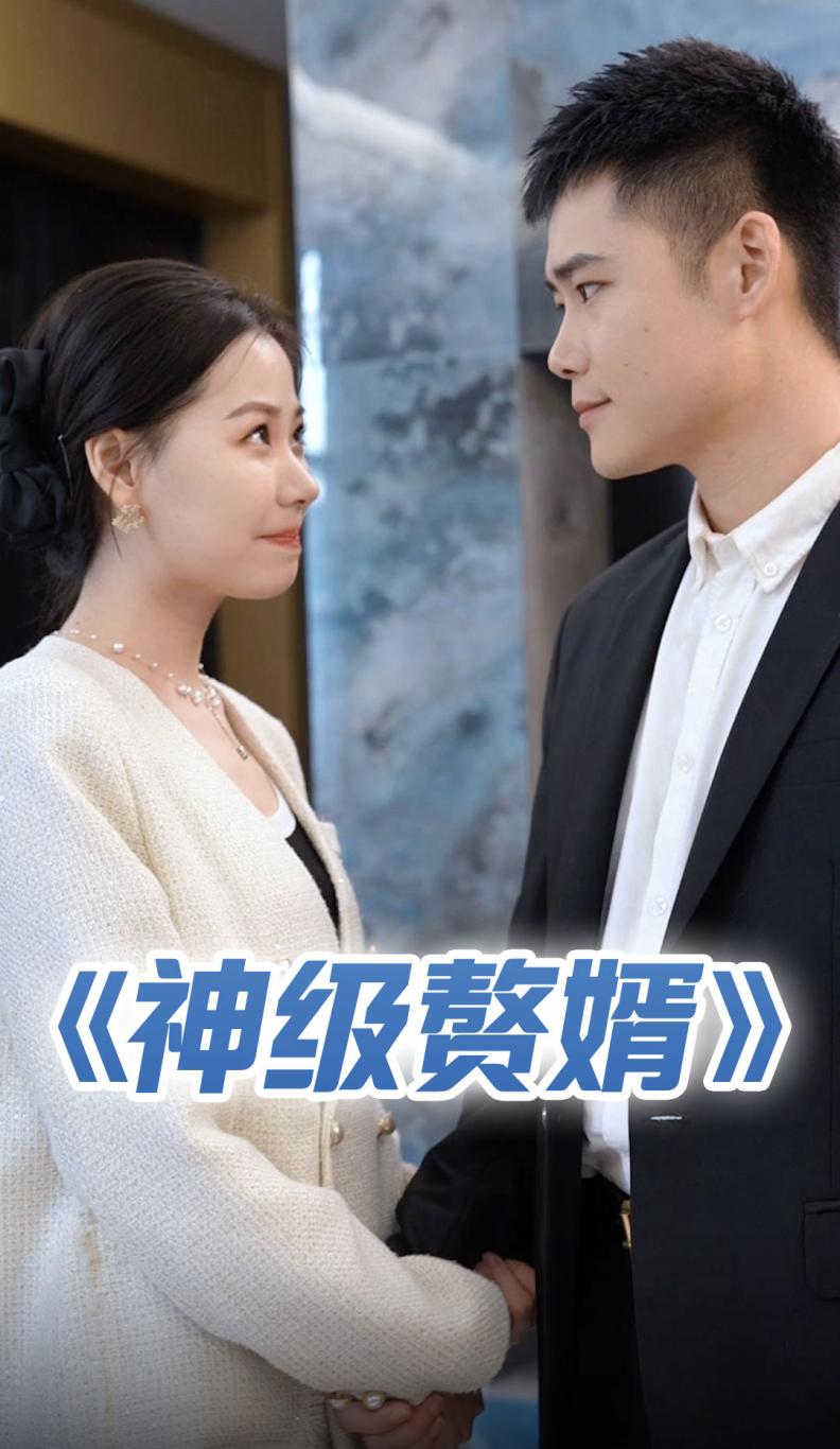 神级赘婿全集