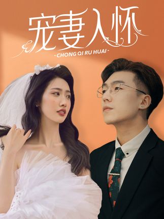 宠妻入怀全集