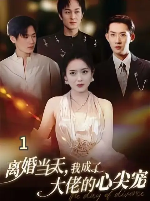离婚当天我成了大佬的心尖宠全集