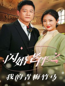 闪婚老伴之我的青梅竹马全集