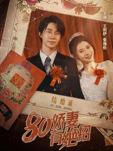 娇妻有绝招全集