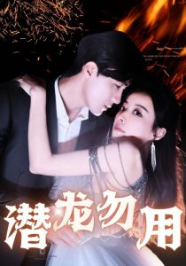 潜龙勿用全集