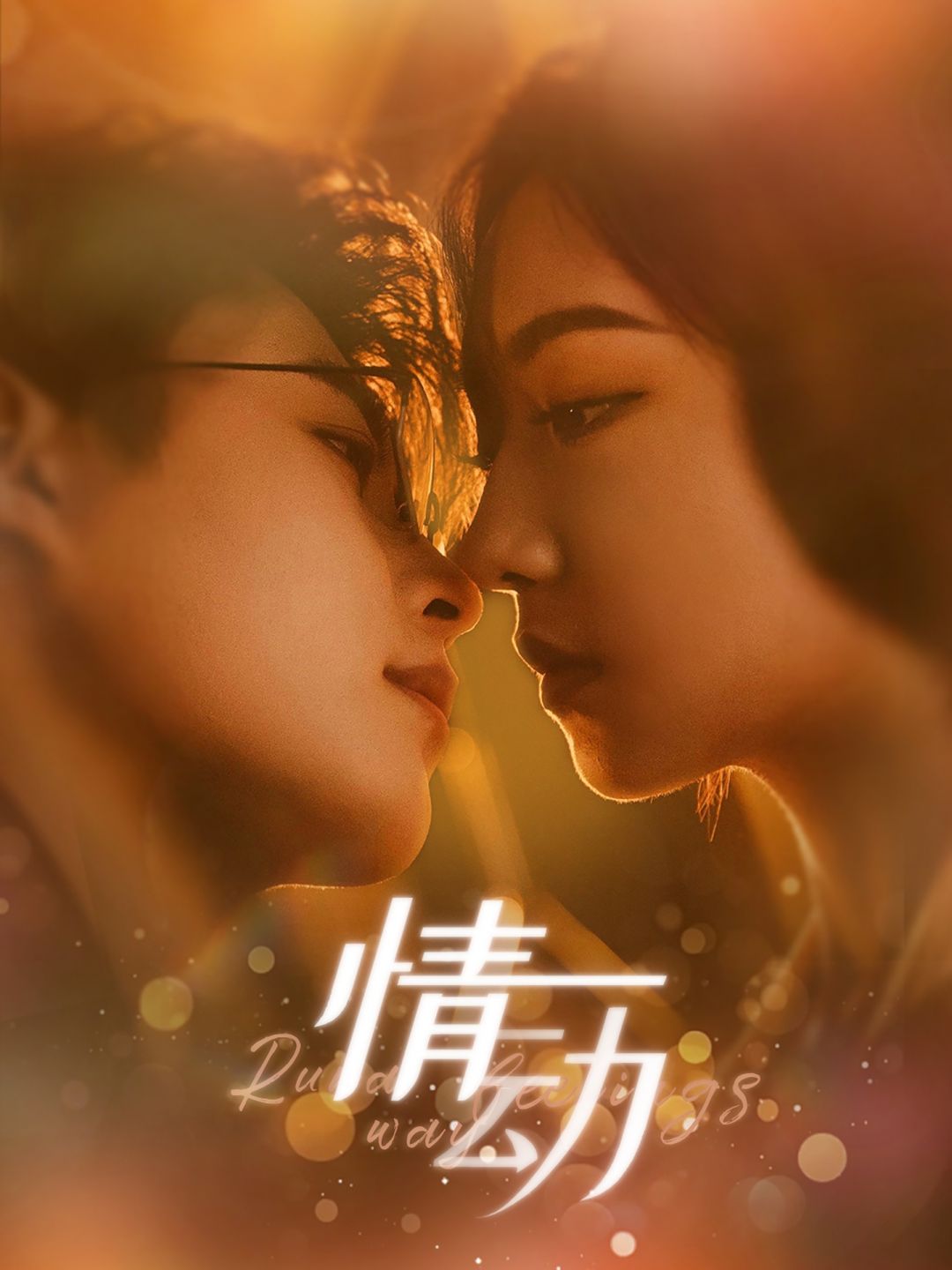情动全集