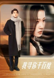 我寻你千百度全集