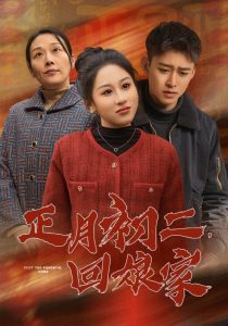 正月初二回娘家全集