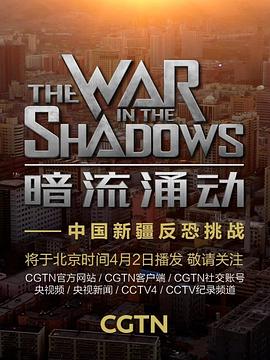 暗流涌动——中国新疆反恐挑战全集