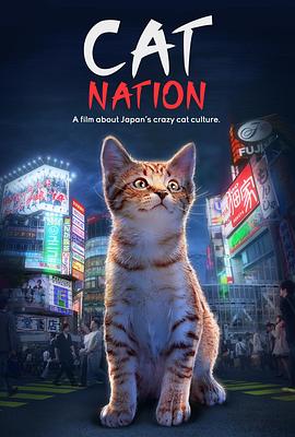 猫咪国度全集