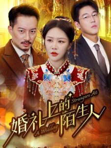 婚礼上的陌生人全集