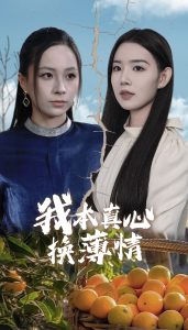 我本真心换薄情全集