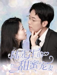 陆先生的甜蜜宠妻全集