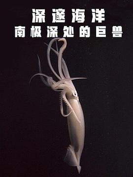 深邃海洋：南极深处的巨兽全集