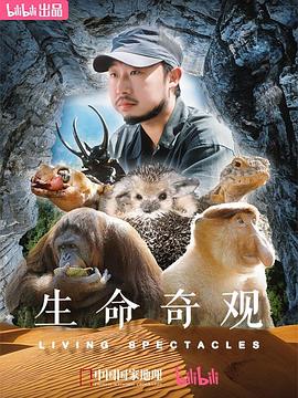 生命奇观全集