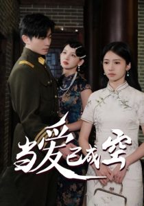当爱已成空全集