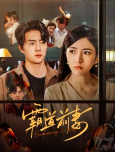 霸道前妻全集
