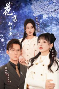 花落知多少全集