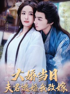 大婚当日夫君逃婚我改嫁全集
