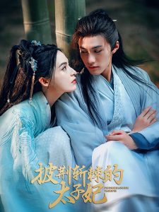 披荆斩棘的太子妃全集